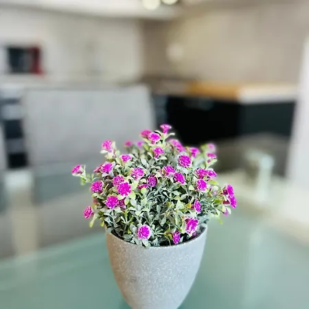Apartment Noor *